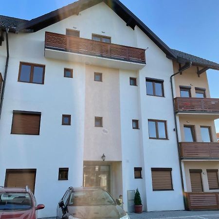 Apartman Bela Reka Zlatibor Lägenhet Exteriör bild